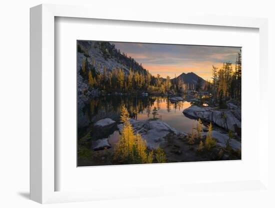 Washington, Subalpine Larch Surround Horseshoe Lake, Alpine Lakes Wilderness at Sunrise-Gary Luhm-Framed Photographic Print