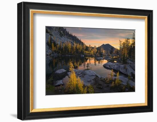 Washington, Subalpine Larch Surround Horseshoe Lake, Alpine Lakes Wilderness at Sunrise-Gary Luhm-Framed Photographic Print