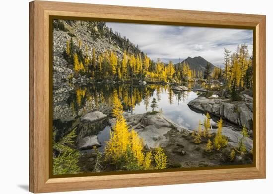 Washington, Subalpine Larch Surround Horseshoe Lake, Alpine Lakes Wilderness-Gary Luhm-Framed Premier Image Canvas