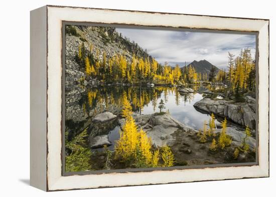 Washington, Subalpine Larch Surround Horseshoe Lake, Alpine Lakes Wilderness-Gary Luhm-Framed Premier Image Canvas