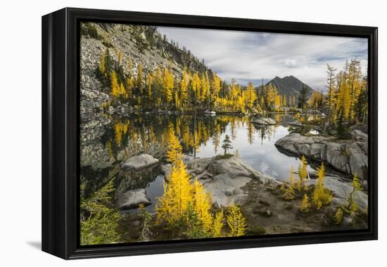 Washington, Subalpine Larch Surround Horseshoe Lake, Alpine Lakes Wilderness-Gary Luhm-Framed Premier Image Canvas