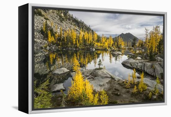 Washington, Subalpine Larch Surround Horseshoe Lake, Alpine Lakes Wilderness-Gary Luhm-Framed Premier Image Canvas