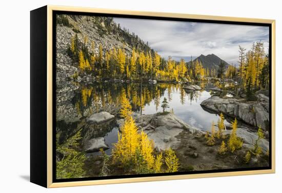 Washington, Subalpine Larch Surround Horseshoe Lake, Alpine Lakes Wilderness-Gary Luhm-Framed Premier Image Canvas