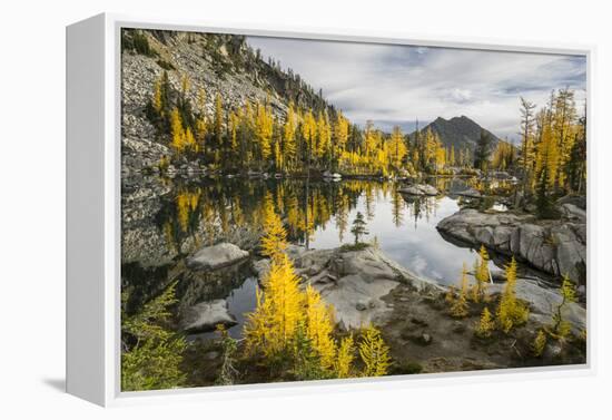 Washington, Subalpine Larch Surround Horseshoe Lake, Alpine Lakes Wilderness-Gary Luhm-Framed Premier Image Canvas