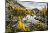 Washington, Subalpine Larch Surround Horseshoe Lake, Alpine Lakes Wilderness-Gary Luhm-Mounted Photographic Print