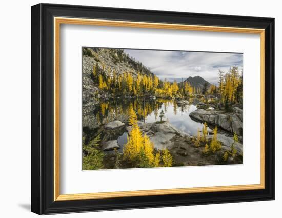 Washington, Subalpine Larch Surround Horseshoe Lake, Alpine Lakes Wilderness-Gary Luhm-Framed Photographic Print