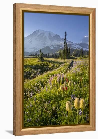 Washington, Subalpine Pasque Flower, Paintbrush and Lupine Wildflowers and Mt. Rainier-Gary Luhm-Framed Premier Image Canvas