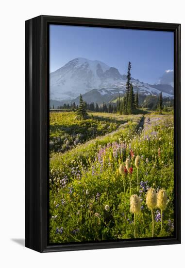 Washington, Subalpine Pasque Flower, Paintbrush and Lupine Wildflowers and Mt. Rainier-Gary Luhm-Framed Premier Image Canvas