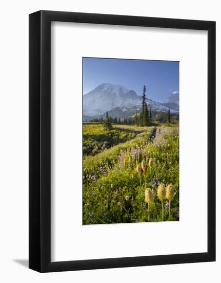 Washington, Subalpine Pasque Flower, Paintbrush and Lupine Wildflowers and Mt. Rainier-Gary Luhm-Framed Photographic Print