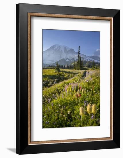 Washington, Subalpine Pasque Flower, Paintbrush and Lupine Wildflowers and Mt. Rainier-Gary Luhm-Framed Photographic Print