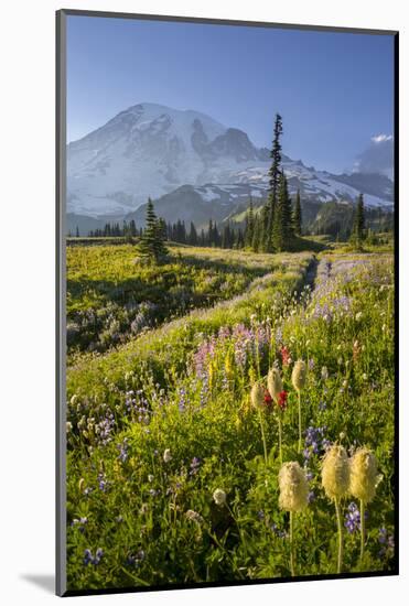 Washington, Subalpine Pasque Flower, Paintbrush and Lupine Wildflowers and Mt. Rainier-Gary Luhm-Mounted Photographic Print