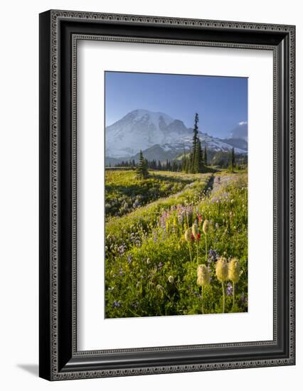 Washington, Subalpine Pasque Flower, Paintbrush and Lupine Wildflowers and Mt. Rainier-Gary Luhm-Framed Photographic Print