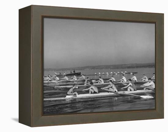 Washington Univ. Rowing Team Practicing on Lake Washington-J^ R^ Eyerman-Framed Premier Image Canvas