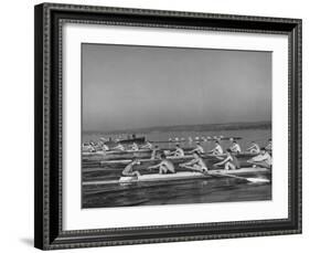 Washington Univ. Rowing Team Practicing on Lake Washington-J. R. Eyerman-Framed Photographic Print