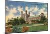 Washington University, St. Louis-null-Mounted Art Print