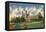Washington University, St. Louis-null-Framed Stretched Canvas