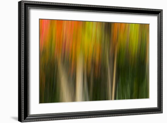 Washington, Walla Walla. Whitman Mission. Smooth Sumac in Fall Colors-Brent Bergherm-Framed Photographic Print