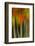 Washington, Walla Walla. Whitman Mission. Smooth Sumac in Fall Colors-Brent Bergherm-Framed Photographic Print