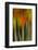 Washington, Walla Walla. Whitman Mission. Smooth Sumac in Fall Colors-Brent Bergherm-Framed Photographic Print