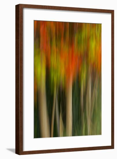 Washington, Walla Walla. Whitman Mission. Smooth Sumac in Fall Colors-Brent Bergherm-Framed Photographic Print