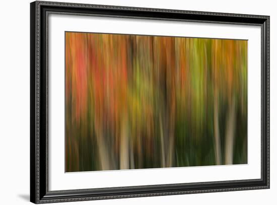 Washington, Walla Walla. Whitman Mission. Smooth Sumac in Fall Colors-Brent Bergherm-Framed Photographic Print