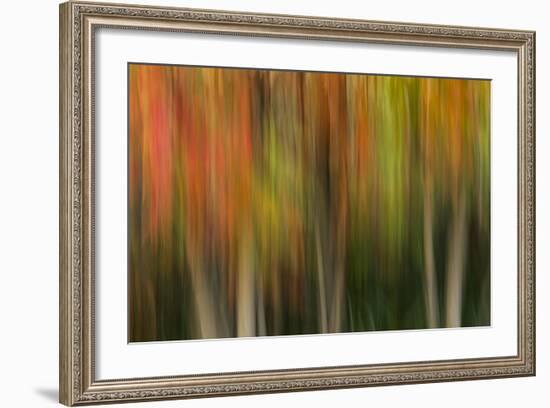 Washington, Walla Walla. Whitman Mission. Smooth Sumac in Fall Colors-Brent Bergherm-Framed Photographic Print