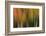 Washington, Walla Walla. Whitman Mission. Smooth Sumac in Fall Colors-Brent Bergherm-Framed Photographic Print