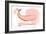 Washington - Whale - Coral - Coastal Icon-Lantern Press-Framed Art Print