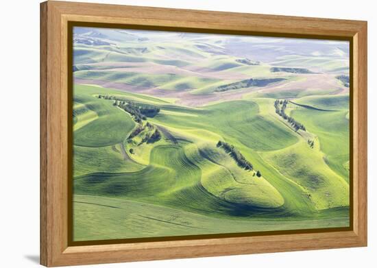 Washington, Whitman County. Aerial Photography in the Palouse Region of Eastern Washington-Julie Eggers-Framed Premier Image Canvas