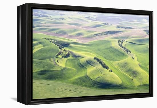 Washington, Whitman County. Aerial Photography in the Palouse Region of Eastern Washington-Julie Eggers-Framed Premier Image Canvas