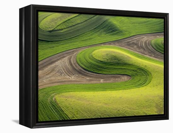 Washington, Whitman County. Aerial Photography in the Palouse Region of Eastern Washington-Julie Eggers-Framed Premier Image Canvas