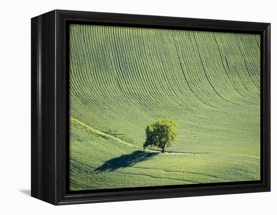 Washington, Whitman County. Aerial Photography in the Palouse Region of Eastern Washington-Julie Eggers-Framed Premier Image Canvas