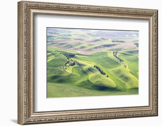 Washington, Whitman County. Aerial Photography in the Palouse Region of Eastern Washington-Julie Eggers-Framed Photographic Print