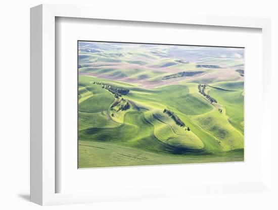 Washington, Whitman County. Aerial Photography in the Palouse Region of Eastern Washington-Julie Eggers-Framed Photographic Print