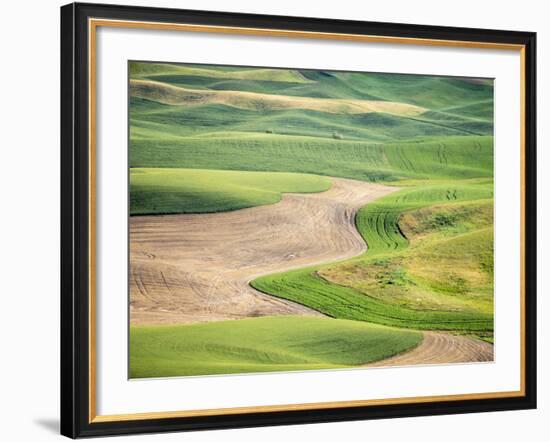 Washington, Whitman County. Aerial Photography in the Palouse Region of Eastern Washington-Julie Eggers-Framed Photographic Print