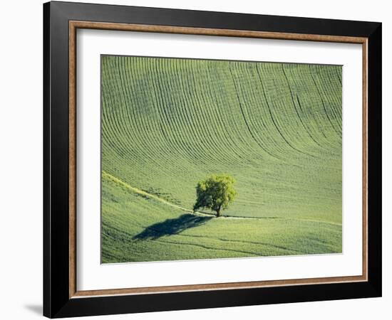 Washington, Whitman County. Aerial Photography in the Palouse Region of Eastern Washington-Julie Eggers-Framed Photographic Print