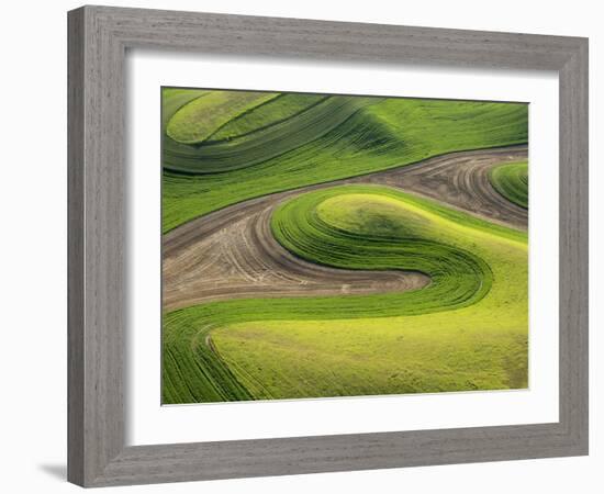 Washington, Whitman County. Aerial Photography in the Palouse Region of Eastern Washington-Julie Eggers-Framed Photographic Print