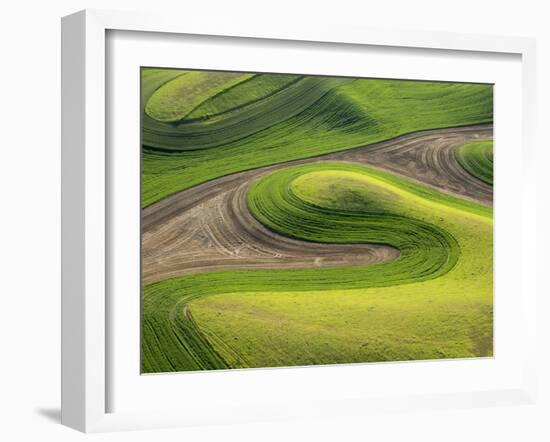 Washington, Whitman County. Aerial Photography in the Palouse Region of Eastern Washington-Julie Eggers-Framed Photographic Print