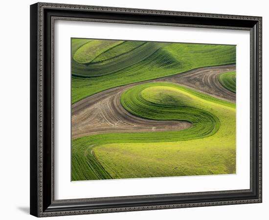 Washington, Whitman County. Aerial Photography in the Palouse Region of Eastern Washington-Julie Eggers-Framed Photographic Print