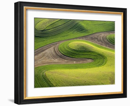 Washington, Whitman County. Aerial Photography in the Palouse Region of Eastern Washington-Julie Eggers-Framed Photographic Print