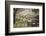 Washington, Whitman County, the Palouse, Lacrosse, Pioneer Stock Farm, Sheep and Spring Lambs-Alison Jones-Framed Photographic Print