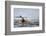 Washington, Woman Sea Kayaker-Gary Luhm-Framed Photographic Print