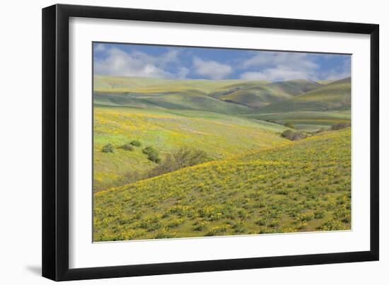 Washington-Don Paulson-Framed Giclee Print