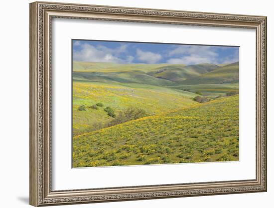 Washington-Don Paulson-Framed Giclee Print