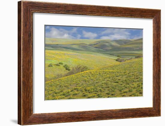 Washington-Don Paulson-Framed Giclee Print