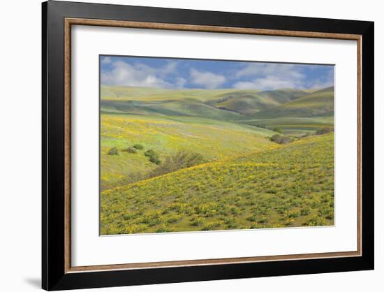 Washington-Don Paulson-Framed Giclee Print