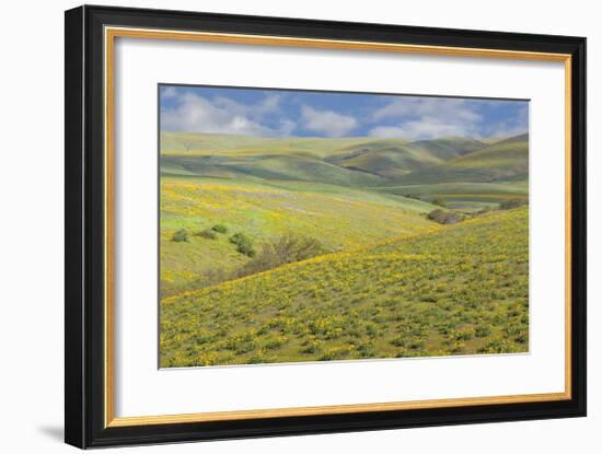 Washington-Don Paulson-Framed Giclee Print