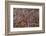 Washington-Art Wolfe-Framed Photographic Print