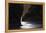 Washington-Art Wolfe-Framed Premier Image Canvas