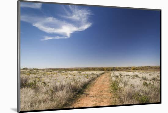 Washita Battlefield, Black Kettle National Grasslands, Oklahoma, USA-Walter Bibikow-Mounted Photographic Print